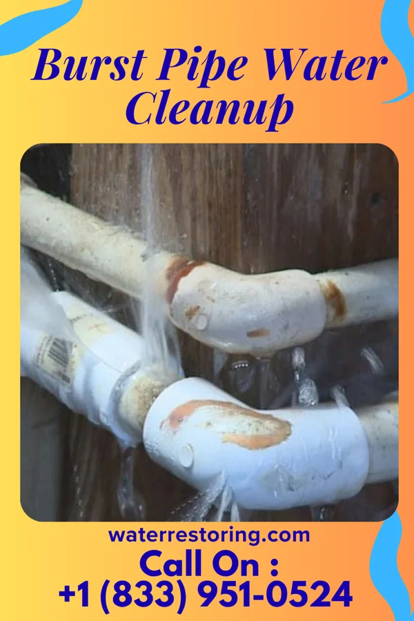 Burst Pipe Water Cleanup in Saratoga, WY