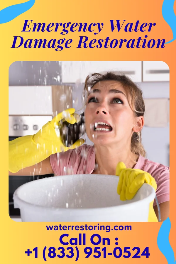 Emergency Water Damage Restoration in Saratoga, WY